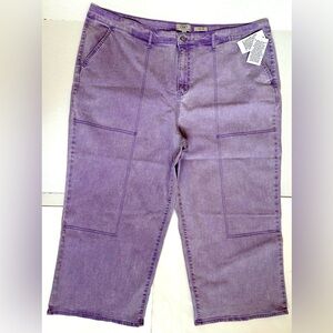 NWT Plus Ladies LOGO by Lori Goldstein Washed Purple Wide Leg Hi Rise Jeans 26W